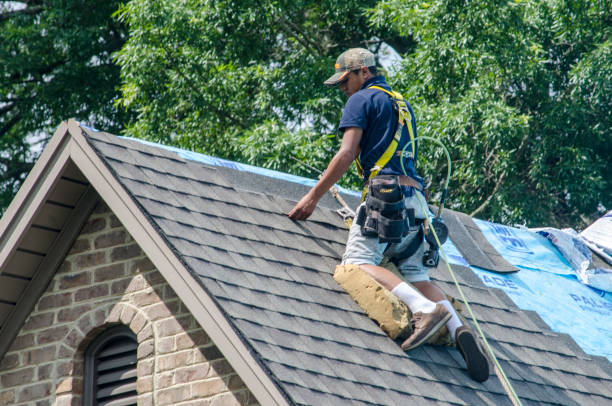 Best Roof Repair Services  in Morongo Valley, CA